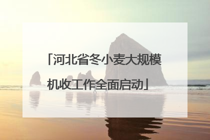 河北省冬小麦大规模机收工作全面启动