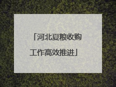 河北夏粮收购工作高效推进