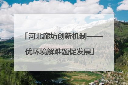 河北廊坊创新机制——优环境解难题促发展