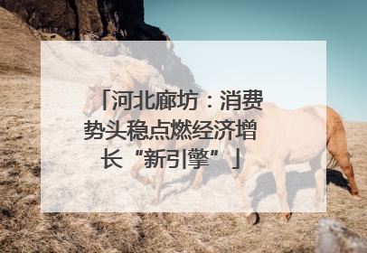 河北廊坊：消费势头稳点燃经济增长“新引擎”