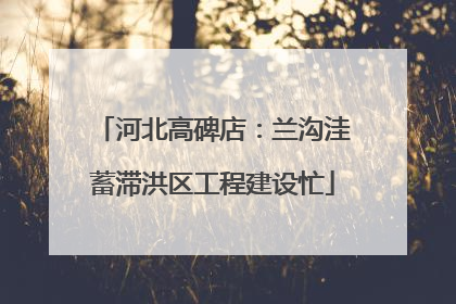 河北高碑店：兰沟洼蓄滞洪区工程建设忙