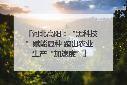 河北高阳：“黑科技”赋能夏种 跑出农业生产“加速度”