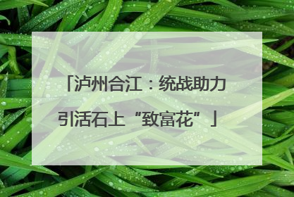 泸州合江：统战助力引活石上“致富花”