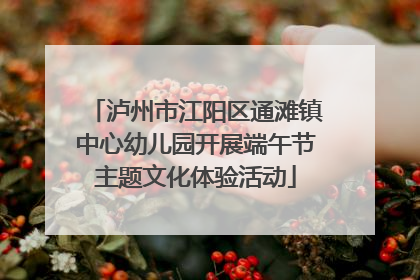 泸州市江阳区通滩镇中心幼儿园开展端午节主题文化体验活动