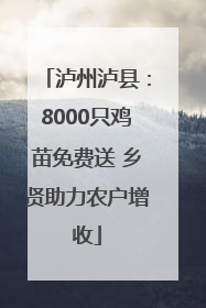 泸州泸县：8000只鸡苗免费送 乡贤助力农户增收