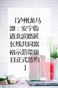 泸州龙马潭：安宁街道北滨路延长线共同富裕示范带项目正式签约