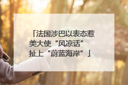 法国涉巴以表态惹美大使“风凉话” 扯上“蔚蓝海岸”