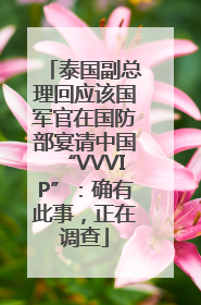 泰国副总理回应该国军官在国防部宴请中国“VVVIP”：确有此事，正在调查