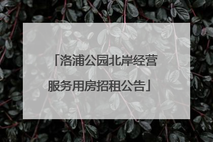 洛浦公园北岸经营服务用房招租公告