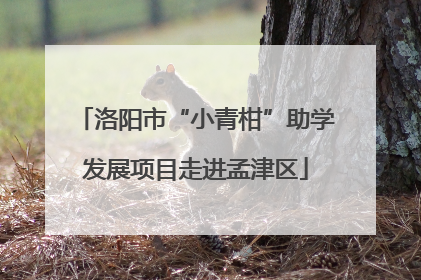 洛阳市“小青柑”助学发展项目走进孟津区