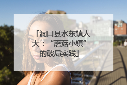 洞口县水东镇人大：“蘑菇小镇”的破局实践