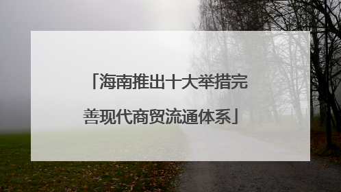 海南推出十大举措完善现代商贸流通体系