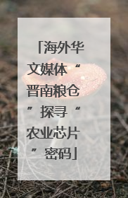 海外华文媒体“晋南粮仓”探寻“农业芯片”密码