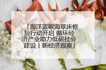 海洋蓝碳海草床修复行动开启 循环经济产业助力低碳社会建设丨新经济观察