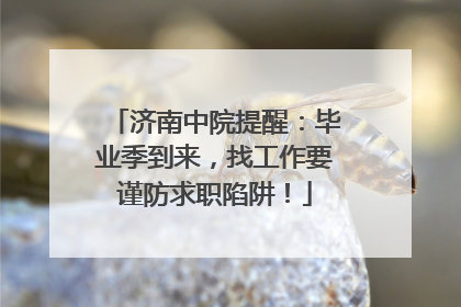 济南中院提醒：毕业季到来，找工作要谨防求职陷阱！
