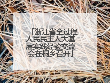 浙江省全过程人民民主人大基层实践经验交流会在桐乡召开