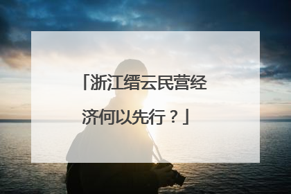 浙江缙云民营经济何以先行？