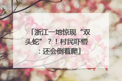 浙江一地惊现“双头蛇”？！村民吓懵：还会倒着爬