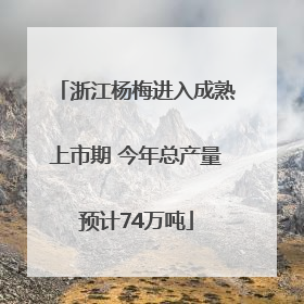 浙江杨梅进入成熟上市期 今年总产量预计74万吨