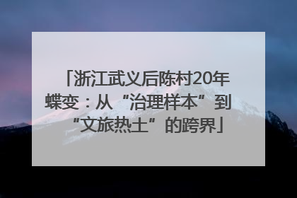 浙江武义后陈村20年蝶变：从“治理样本”到“文旅热土”的跨界