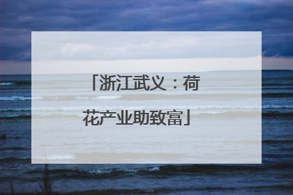 浙江武义：荷花产业助致富