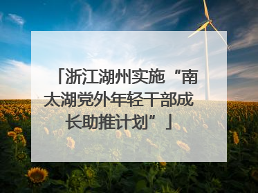 浙江湖州实施“南太湖党外年轻干部成长助推计划”