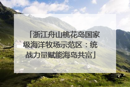 浙江舟山桃花岛国家级海洋牧场示范区：统战力量赋能海岛共富