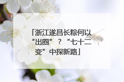 浙江遂昌长粽何以“出圈”？“七十二变”中探新路