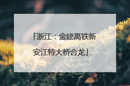 浙江：金建高铁新安江特大桥合龙