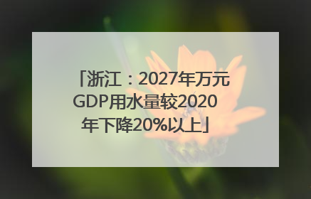浙江：2027年万元GDP用水量较2020年下降20%以上