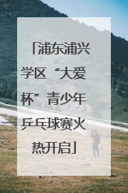 浦东浦兴学区“大爱杯”青少年乒乓球赛火热开启