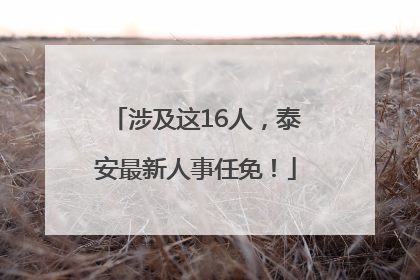涉及这16人，泰安最新人事任免！