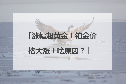 涨幅超黄金！铂金价格大涨！啥原因？