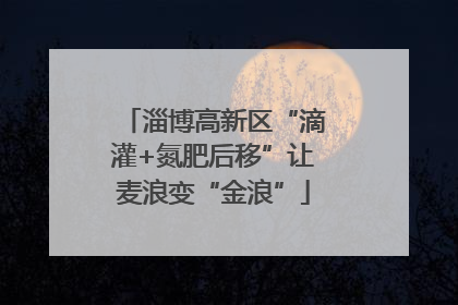 淄博高新区“滴灌+氮肥后移”让麦浪变“金浪”