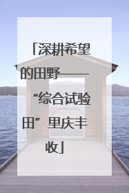 深耕希望的田野——“综合试验田”里庆丰收