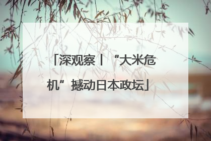 深观察丨“大米危机”撼动日本政坛