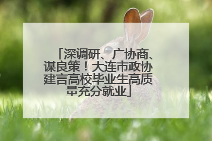 深调研、广协商、谋良策！大连市政协建言高校毕业生高质量充分就业