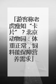游客称老虎瘦如“卡片”？北京动物园：体重正常，饲料能保障营养需求