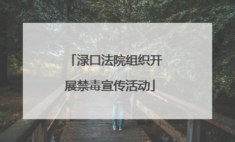 渌口法院组织开展禁毒宣传活动
