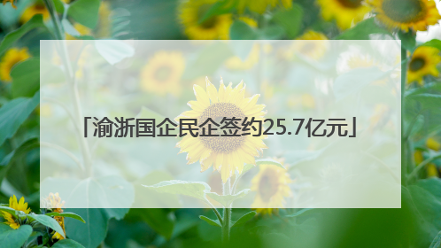 渝浙国企民企签约25.7亿元