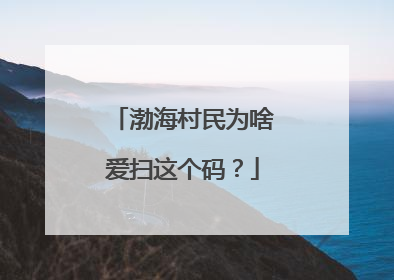 渤海村民为啥爱扫这个码？