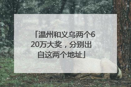 温州和义乌两个620万大奖，分别出自这两个地址