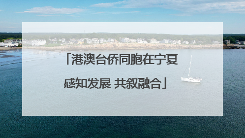 港澳台侨同胞在宁夏感知发展 共叙融合
