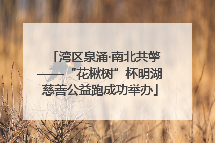 湾区泉涌·南北共擎——“花楸树”杯明湖慈善公益跑成功举办