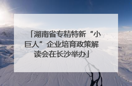 湖南省专精特新“小巨人”企业培育政策解读会在长沙举办