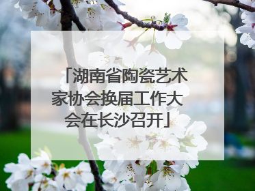 湖南省陶瓷艺术家协会换届工作大会在长沙召开