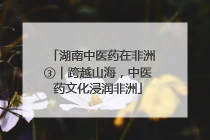 湖南中医药在非洲③｜跨越山海，中医药文化浸润非洲