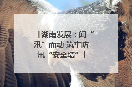 湖南发展：闻“汛”而动 筑牢防汛“安全墙”