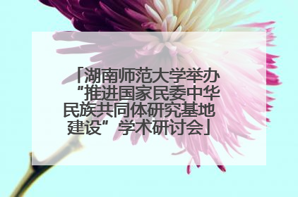 湖南师范大学举办“推进国家民委中华民族共同体研究基地建设”学术研讨会