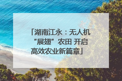 湖南江永：无人机“展翅”农田 开启高效农业新篇章